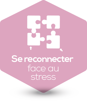 se reconnecter